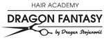 DRAGON FANTASY